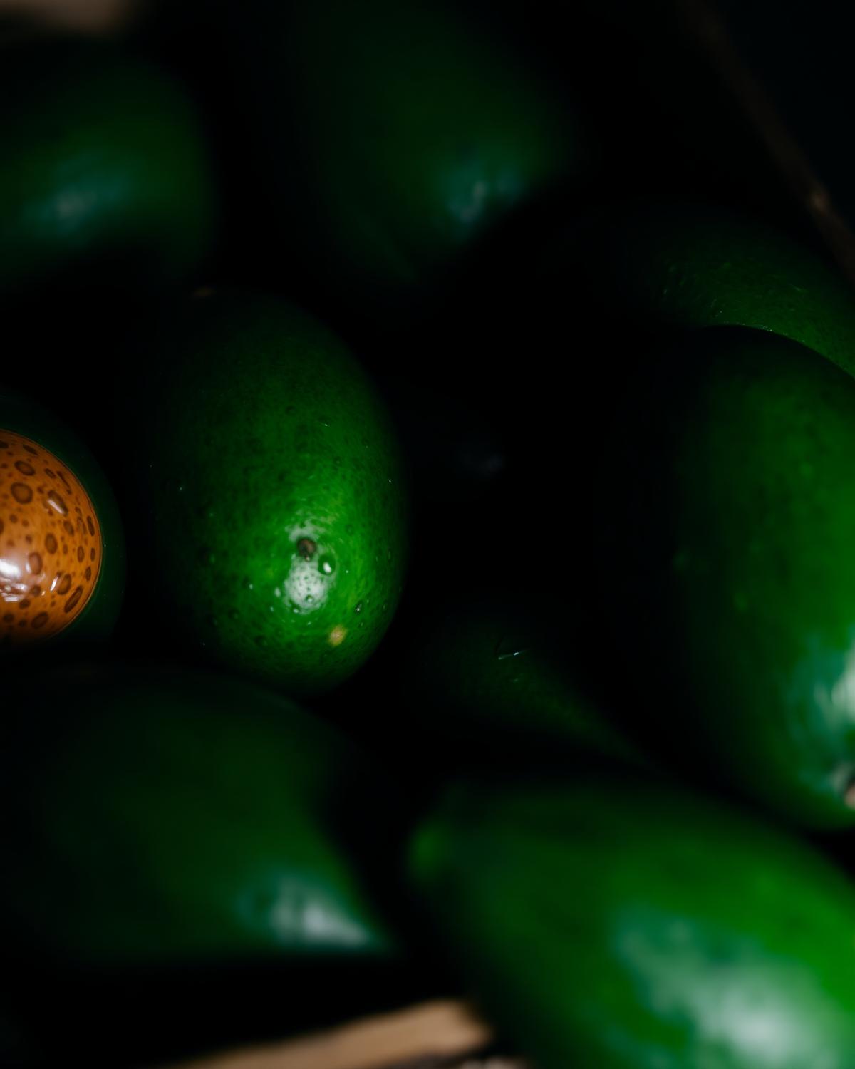 Hass & Fuerte Avocados